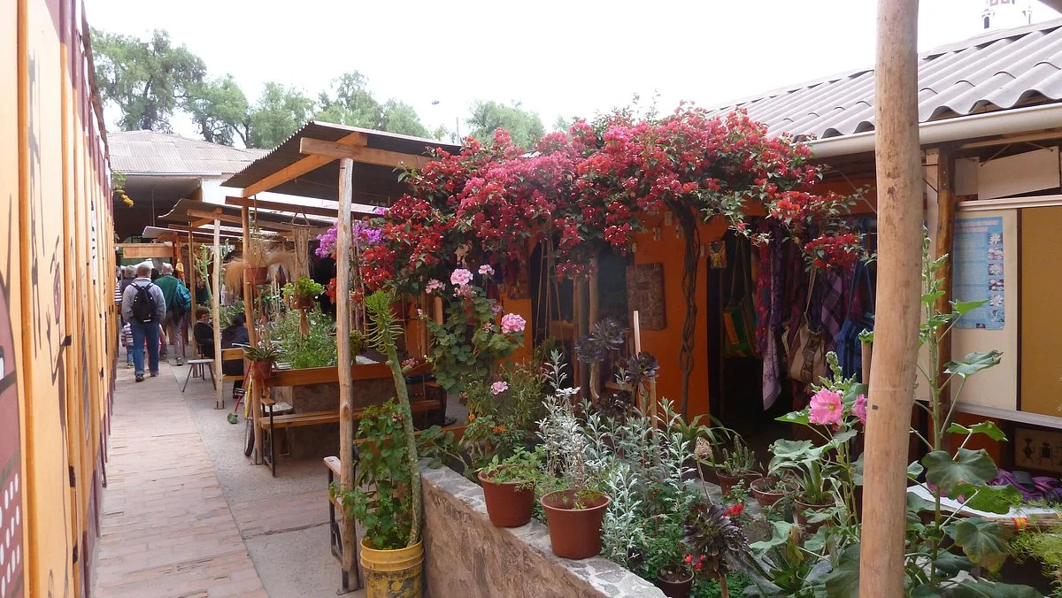 Pueblo de artesanos de Vicuña