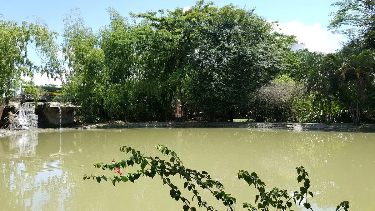 Parque de la Guadua