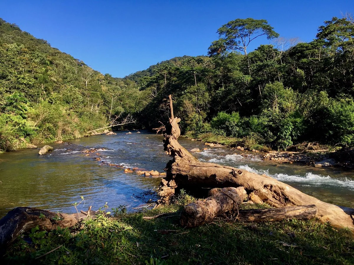 Parque das Nascentes