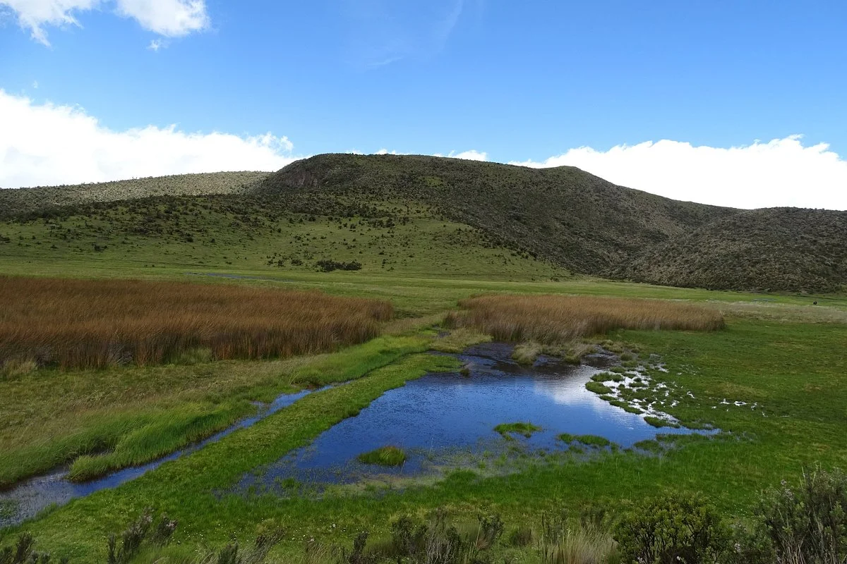 Area Nacional de Recreacion El Boliche