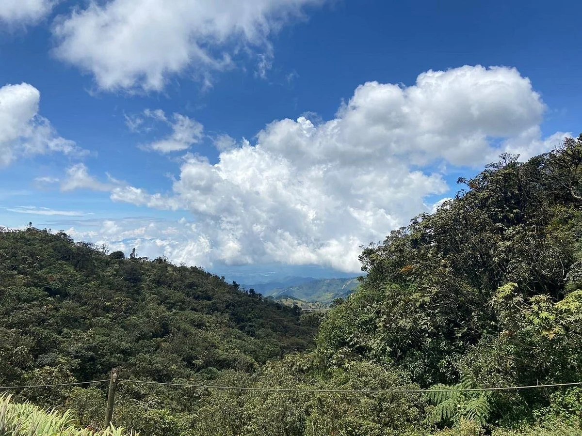 Alto de la Linea