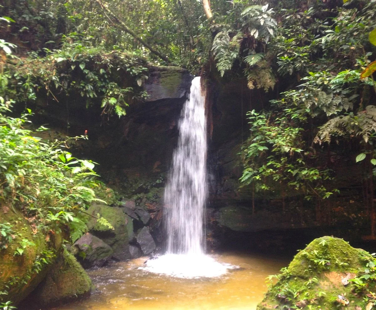 Serra do Divisor National Park