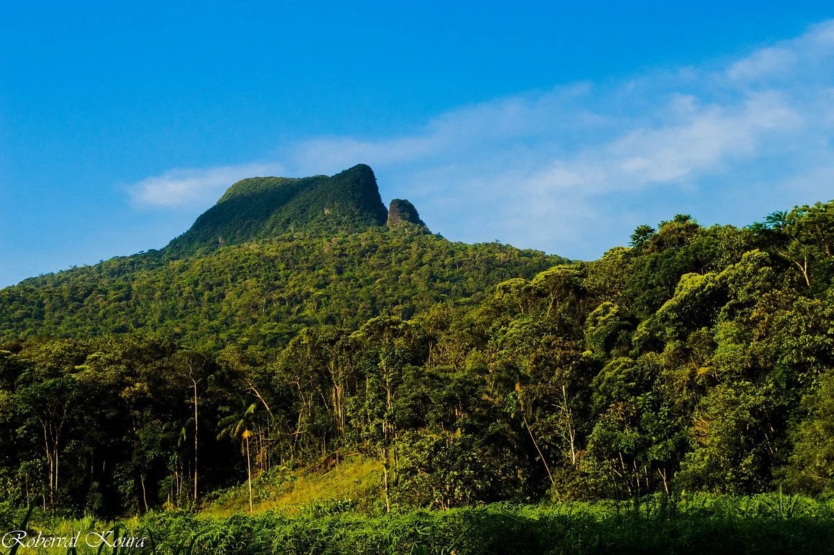 Morro do Báu Botanical Park