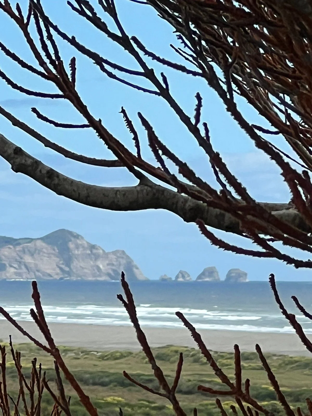 Parque Nacional De Chiloe