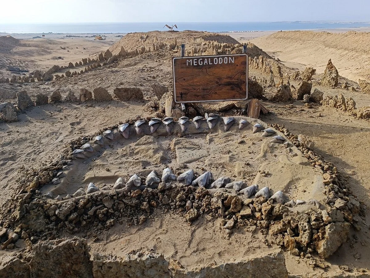 Parque Paleontologico De Caldera