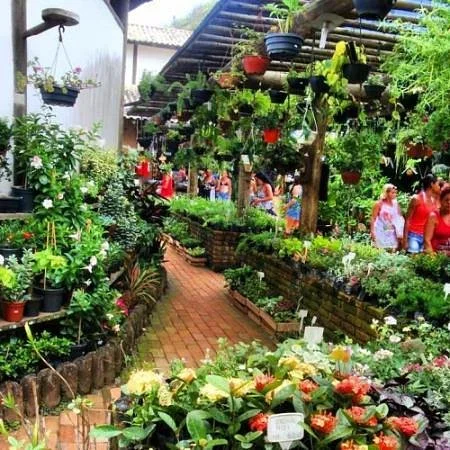 Shopping Tocolandia
