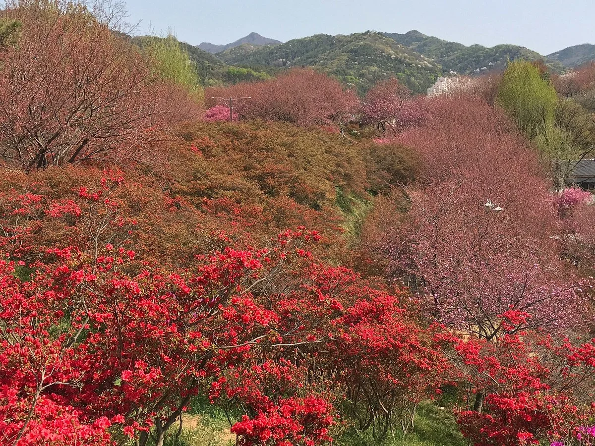 Wansan Park