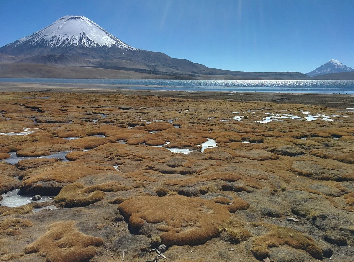 Parinacota Volcano