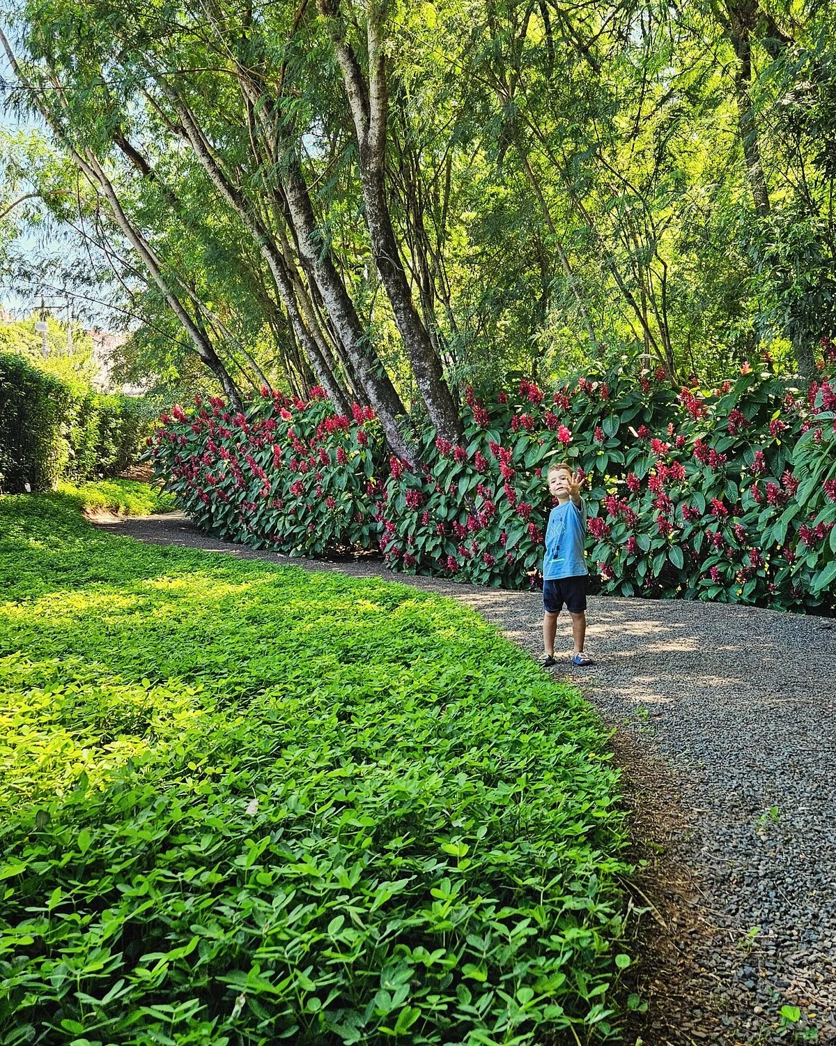 Bosque do Saber
