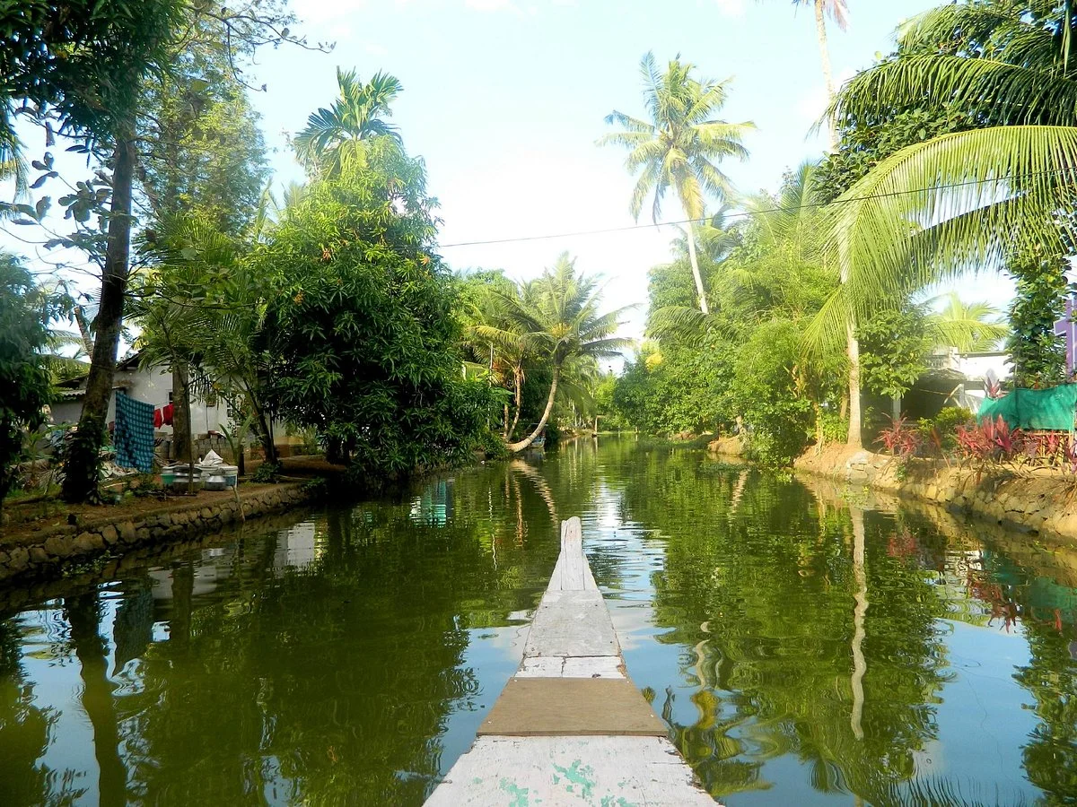 Vembanad Lake