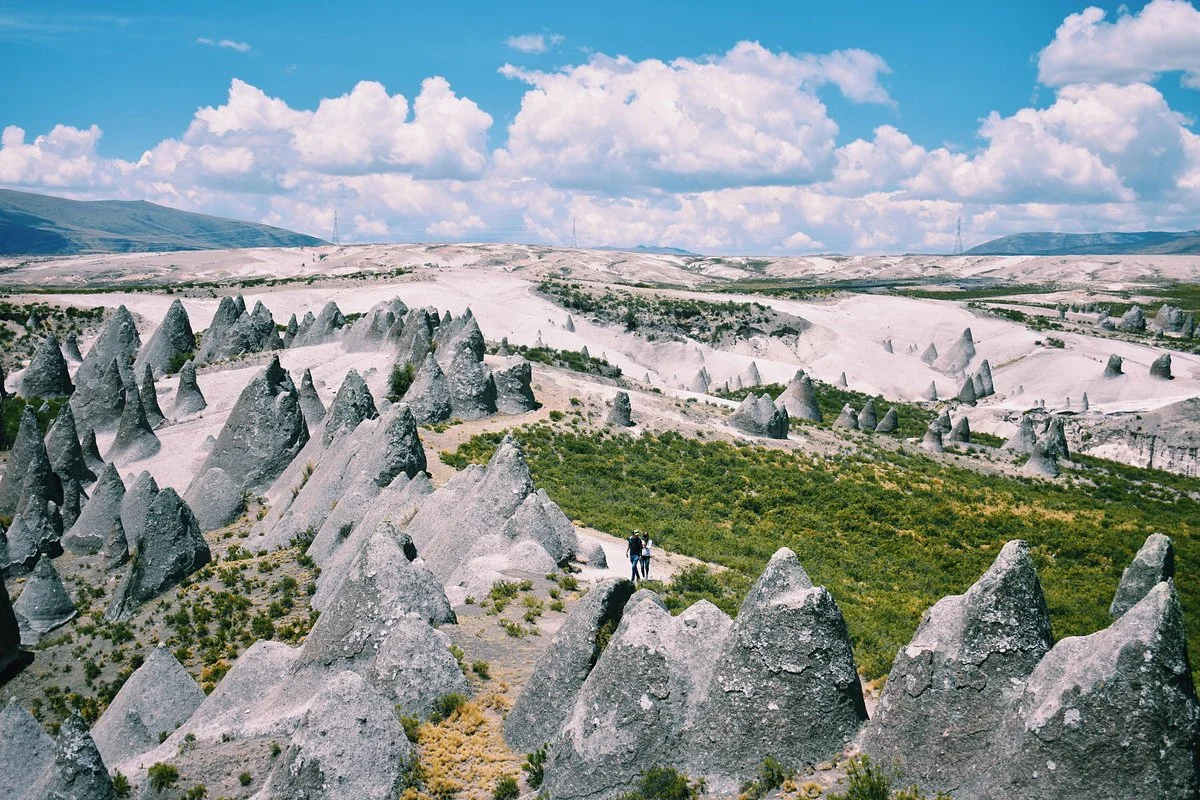 Bosque de piedras