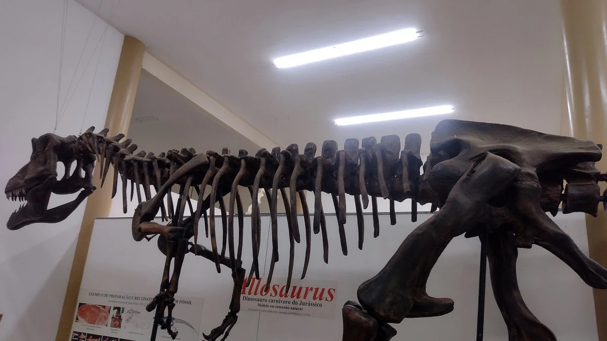 Museu De História Natural de Taubaté