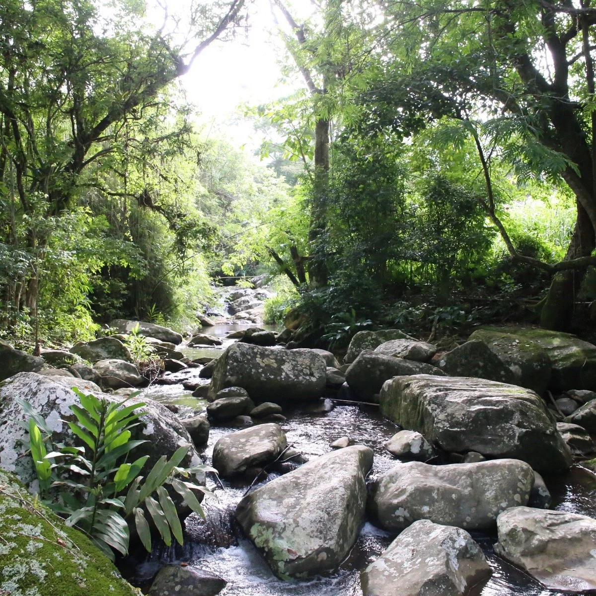 Cachoeira do Macacu Garopaba
