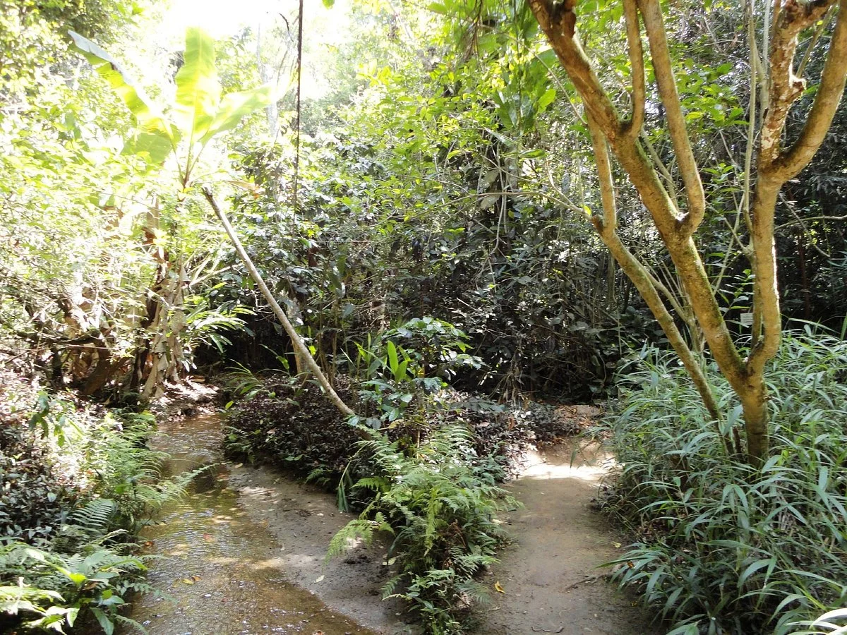 Reserva Florestal do Poço Escuro