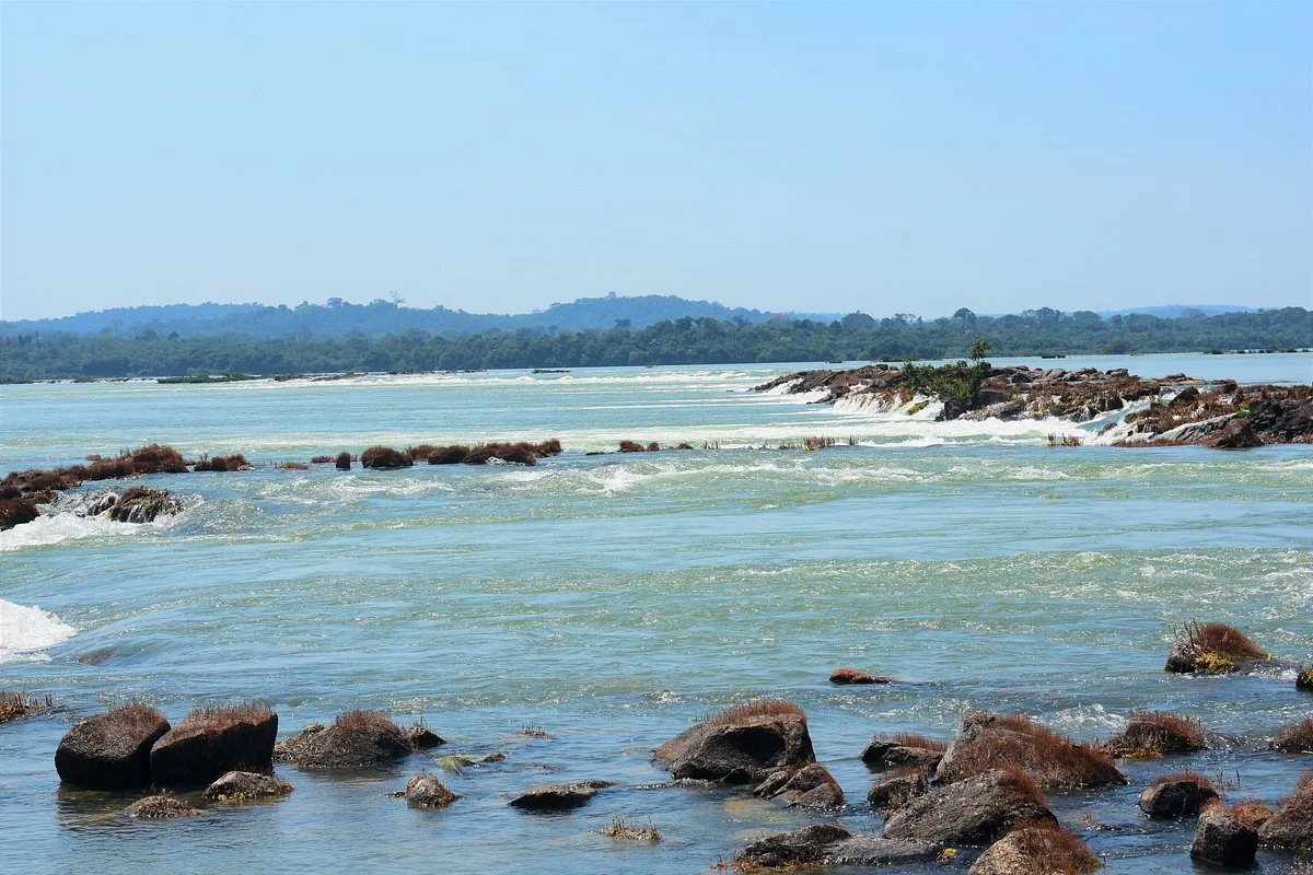 Parque Nacional da Amazonia