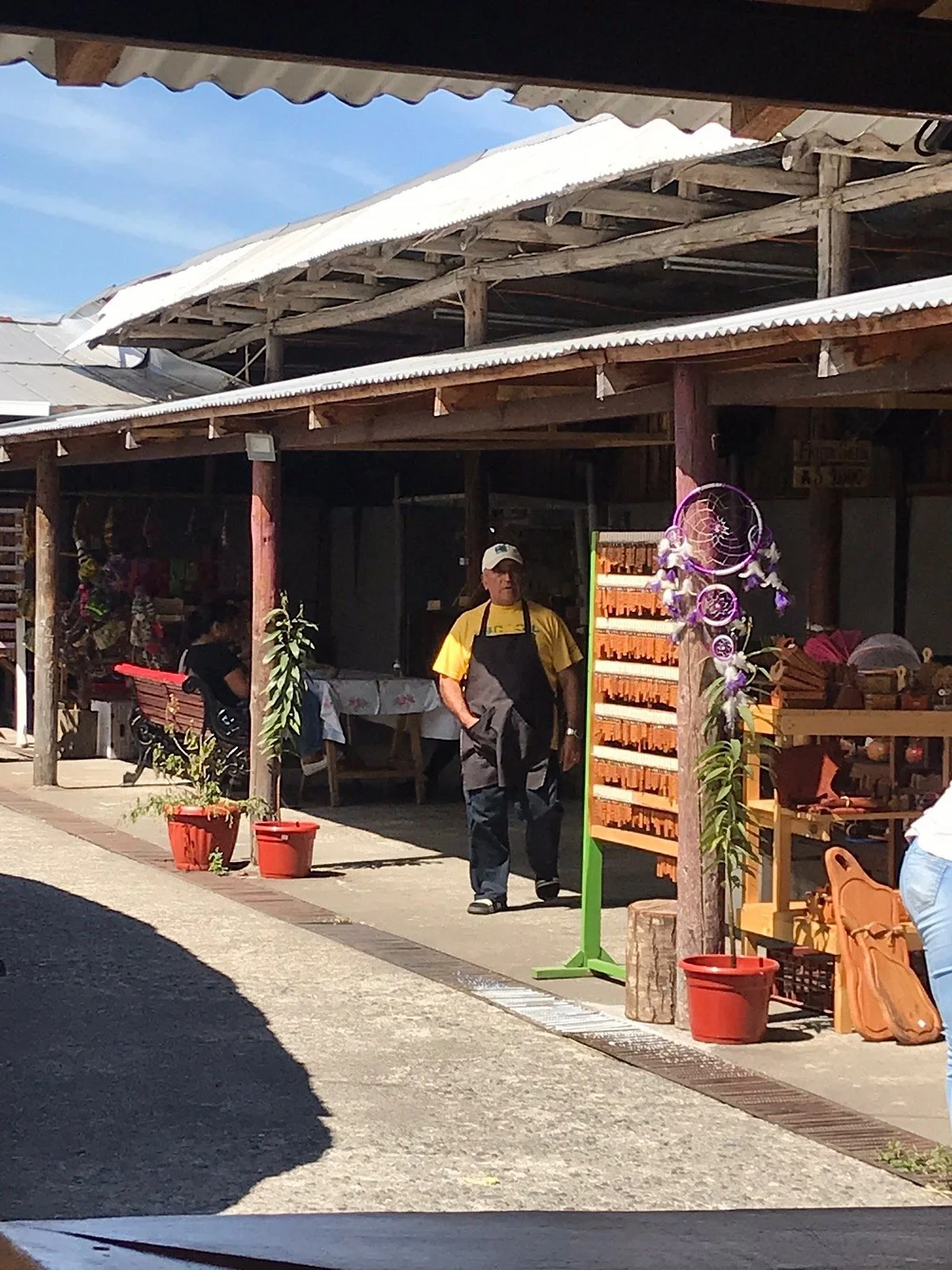 Mercado Nehuen