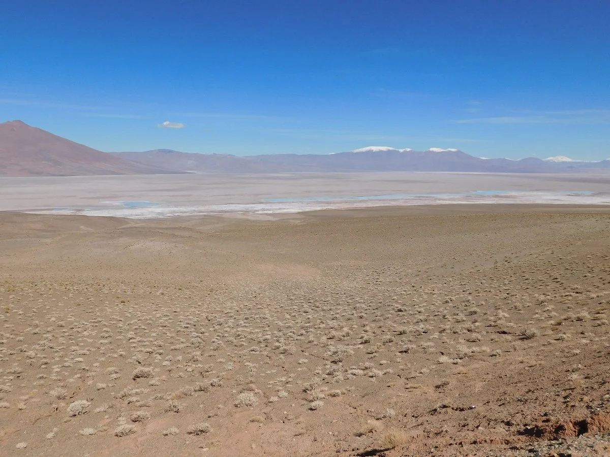 Salar del Rincon