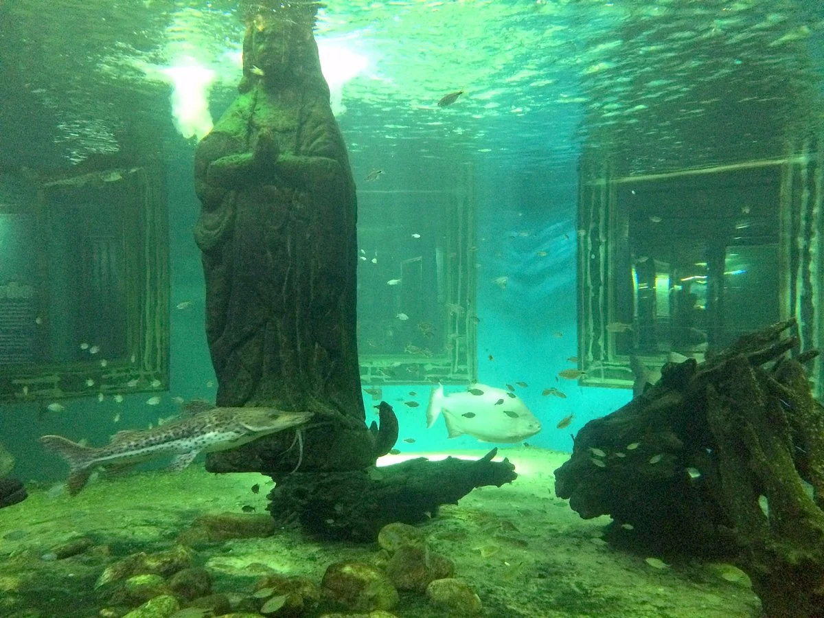 Aquário de Aparecida