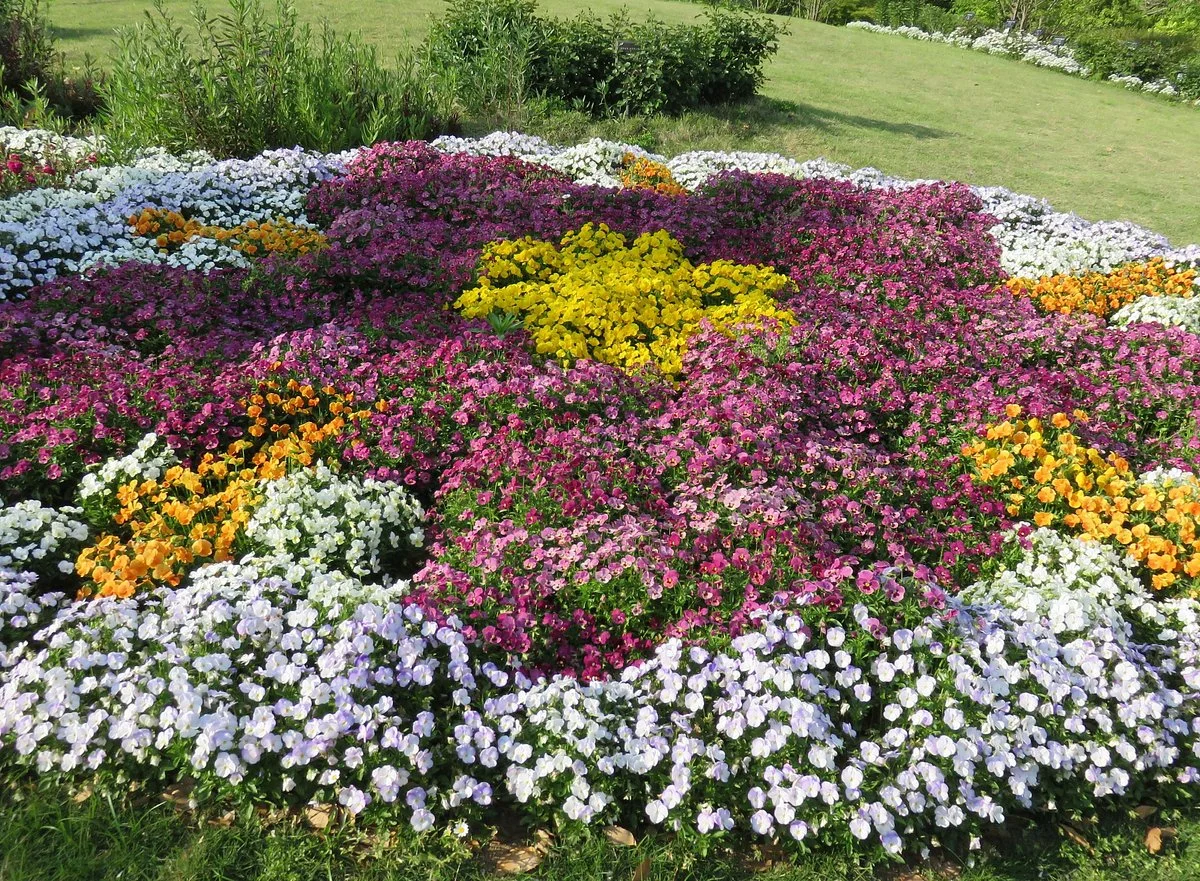 Hogashi Matsudo Yui no Hana Park