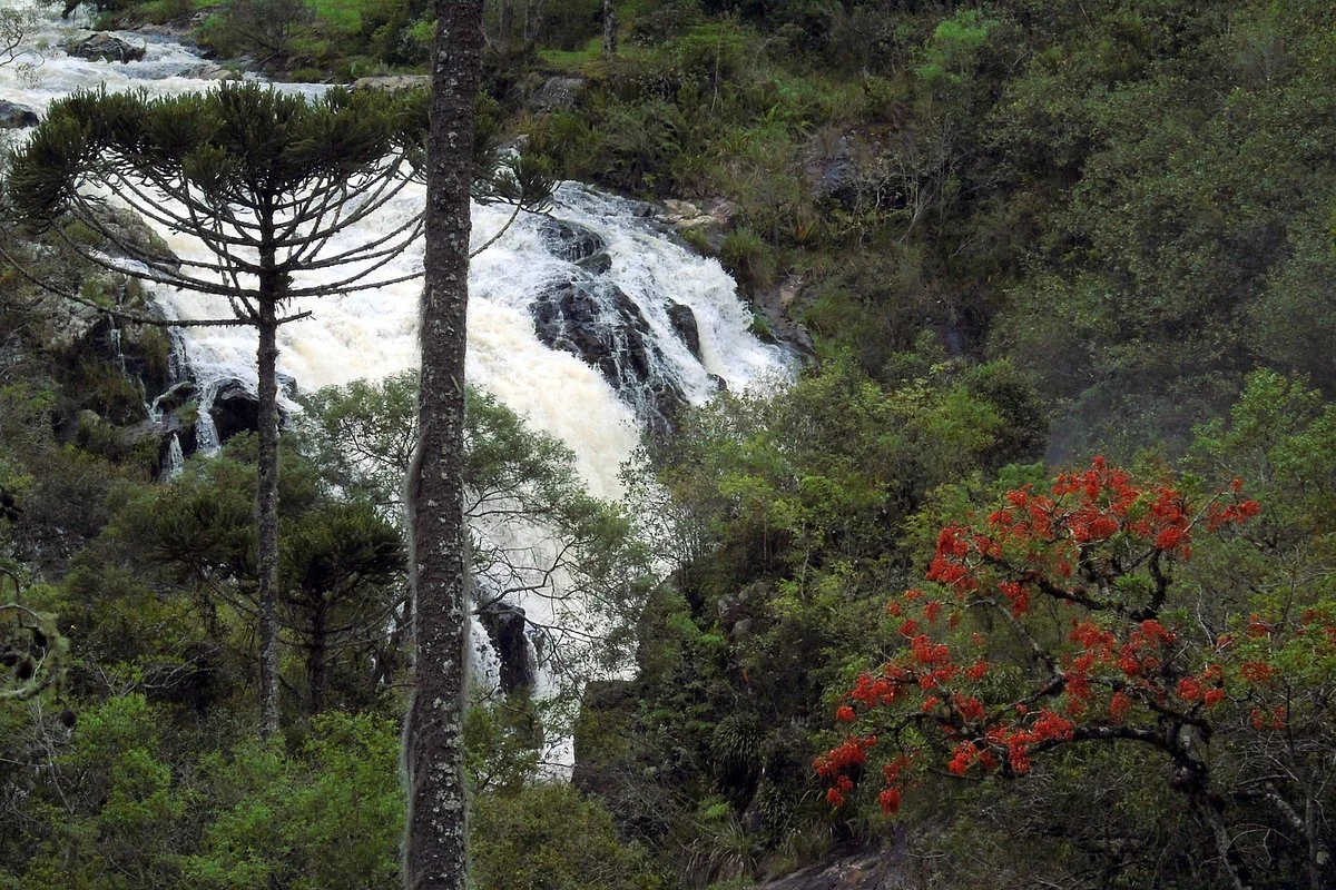 Salto do Imigrante
