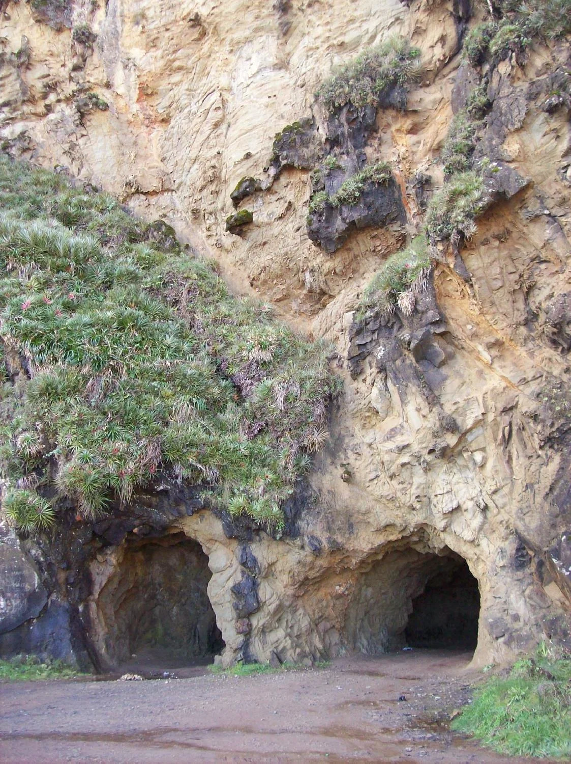 Cavernas y cueva del toro