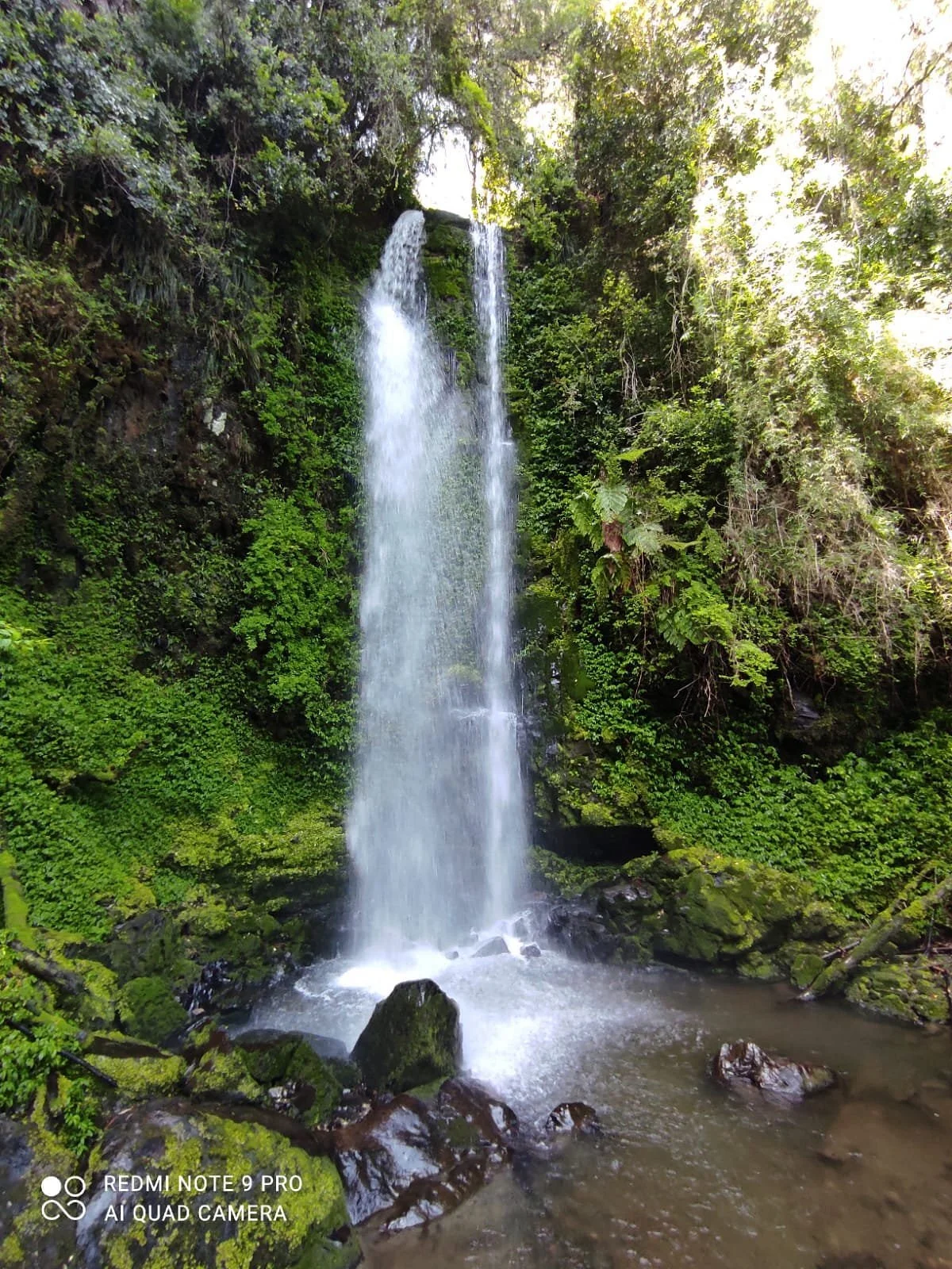 Salto Rayen
