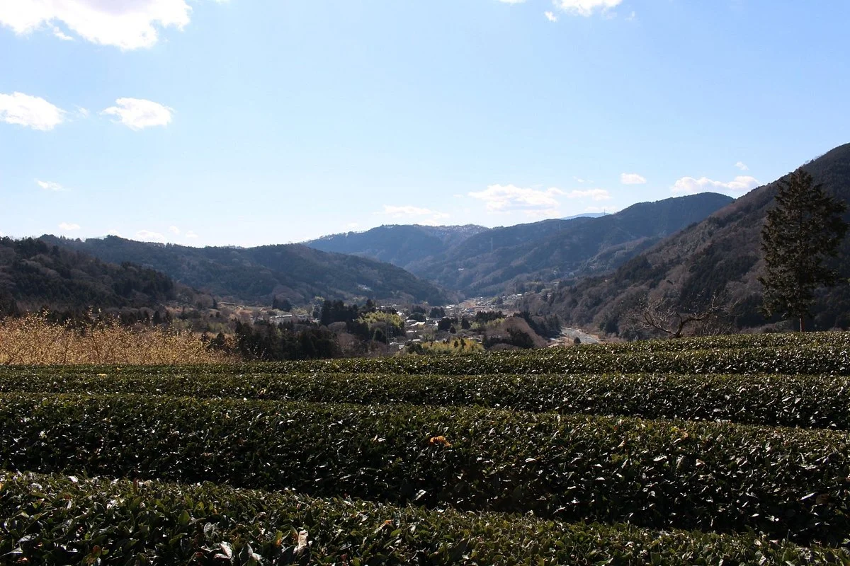 Yadoriki Robai Park