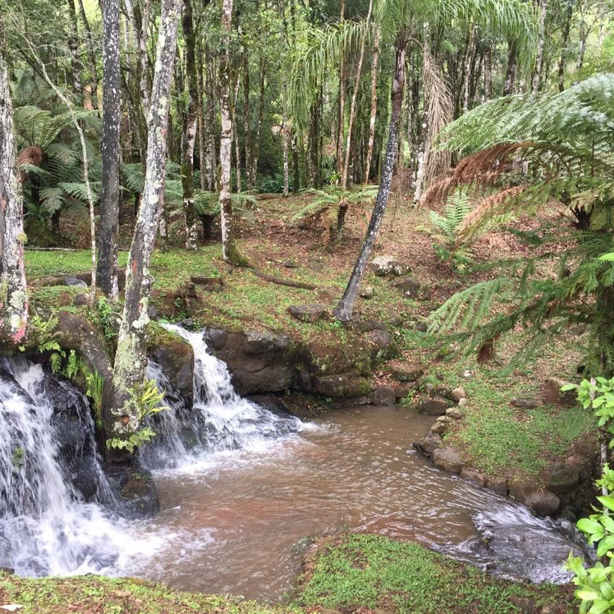 Parque Histórico Iguassú