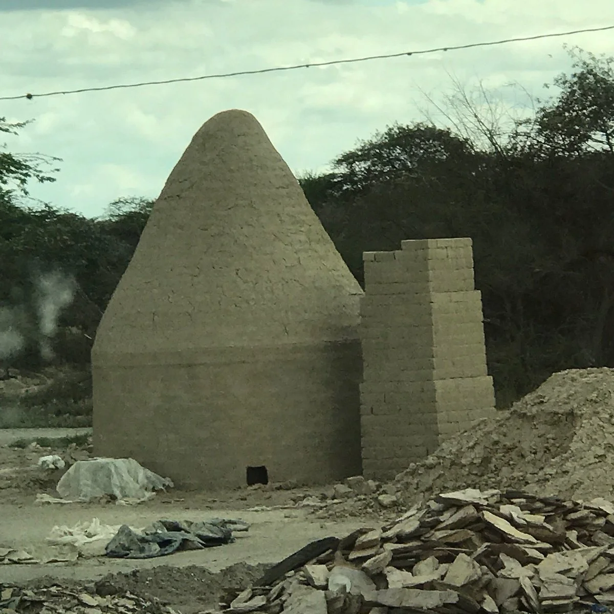 Tintorero