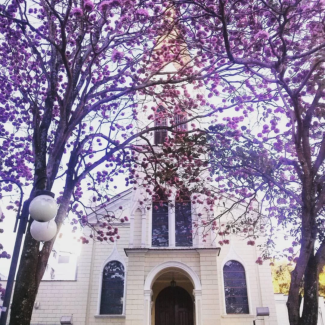 Nosso Senhor dos Passos Chapel