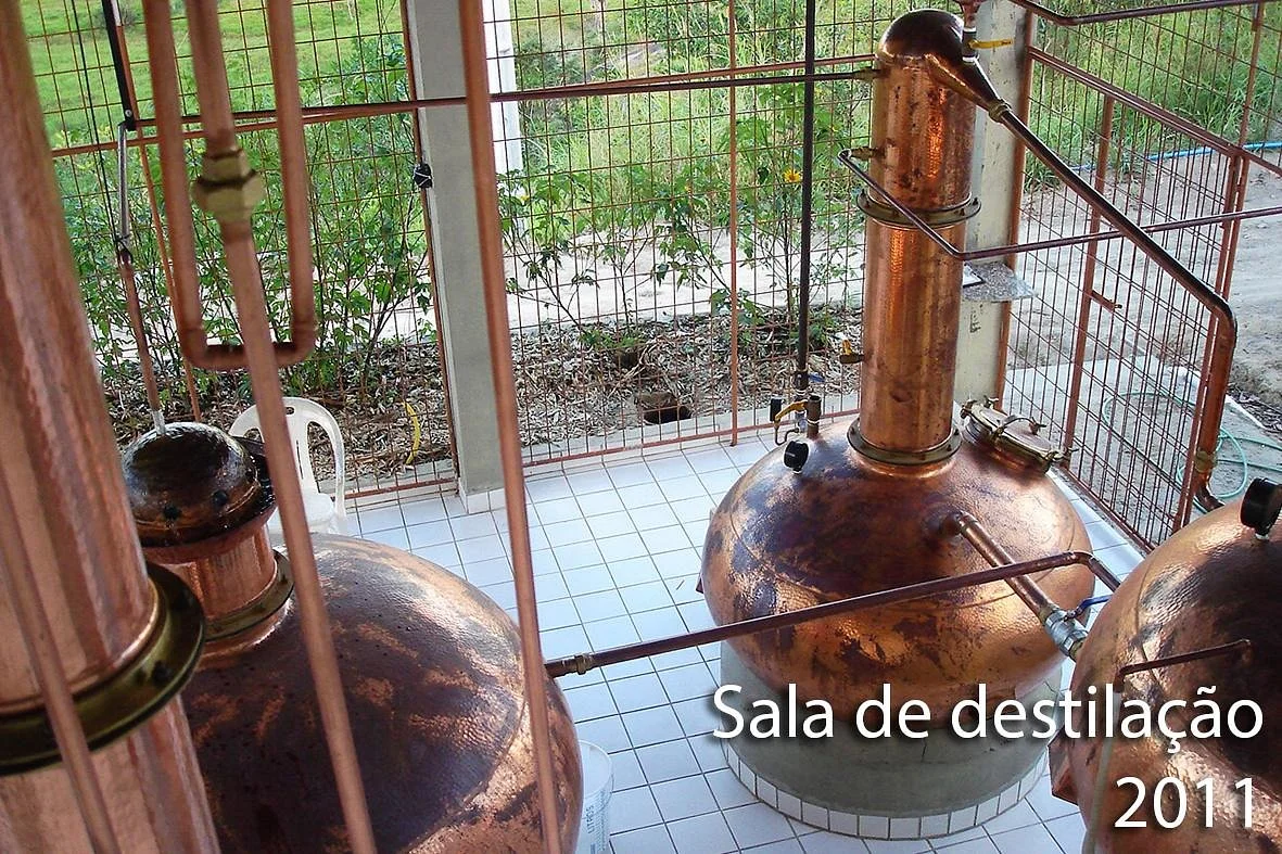 Sanhaçu