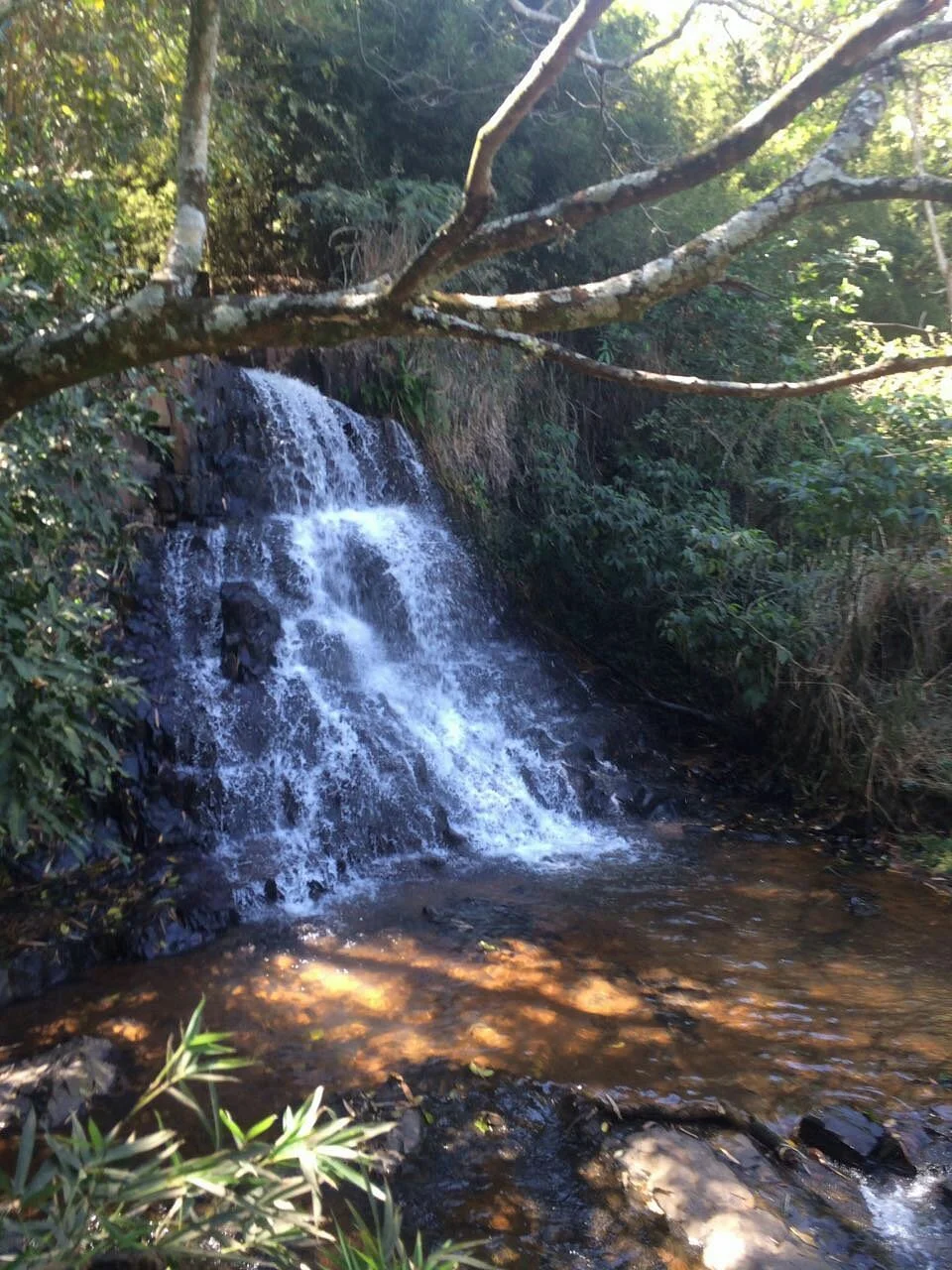 Parque do Basalto