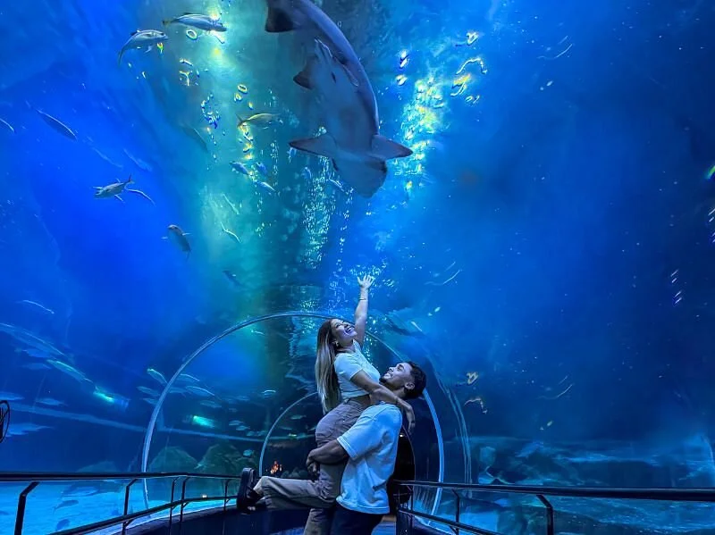 AquaRio