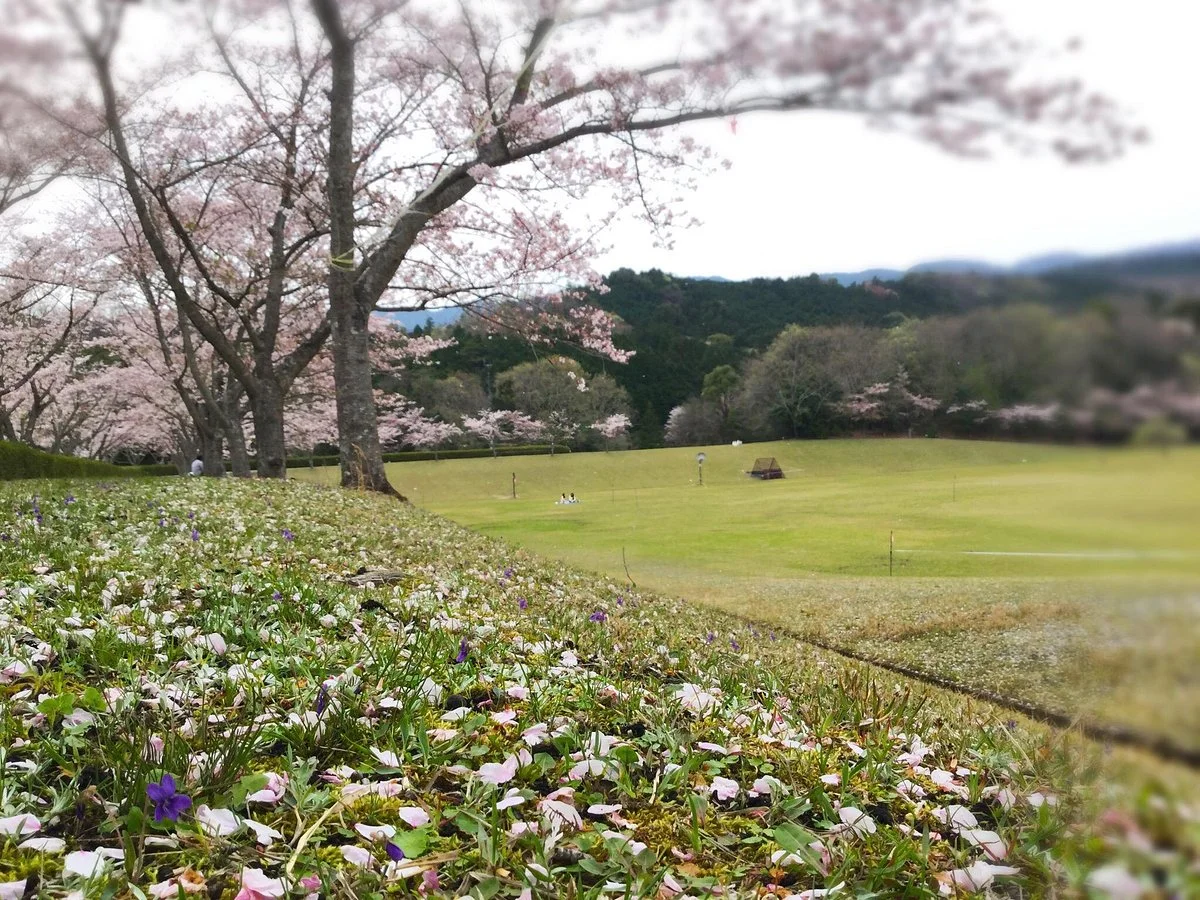 Higashiaoyama Shiki no Sato