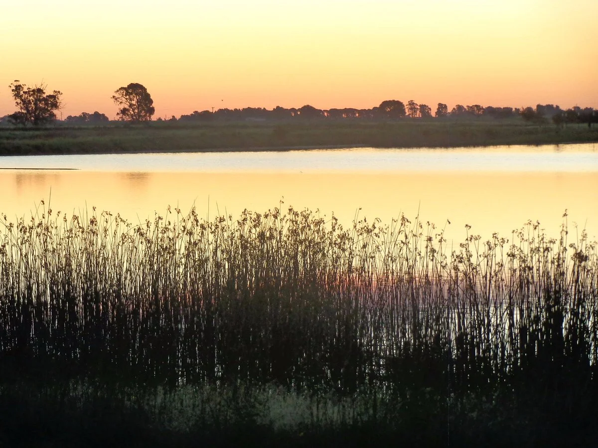 Laguna La Arocena