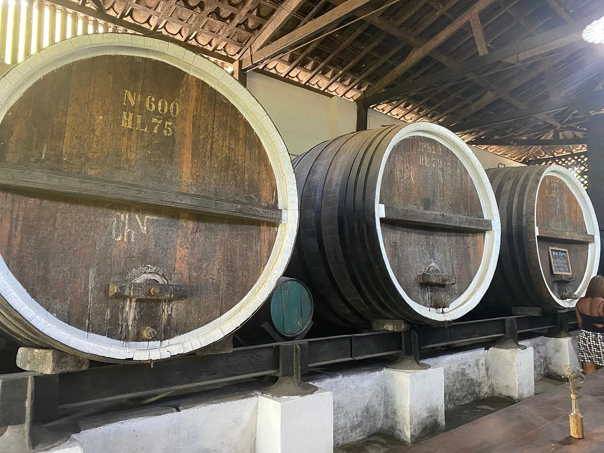 Fazenda Uniao Carvalheira