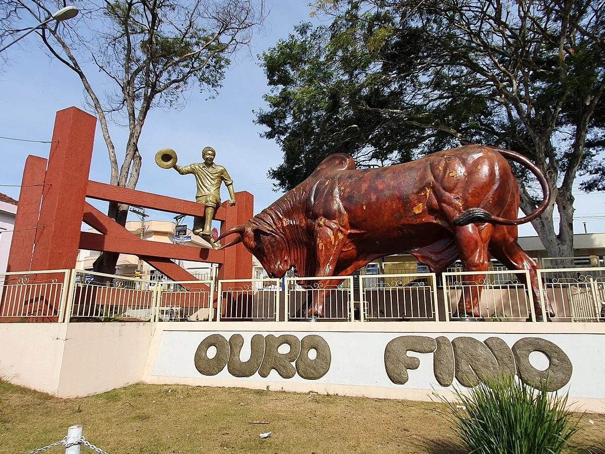 Boi sem Coracao