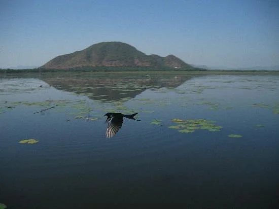 Kondakarla Bird Sanctuary