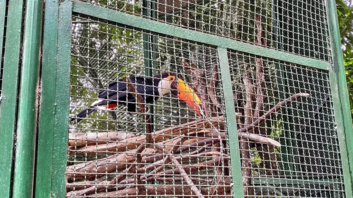 Zoologico Sao Francisco