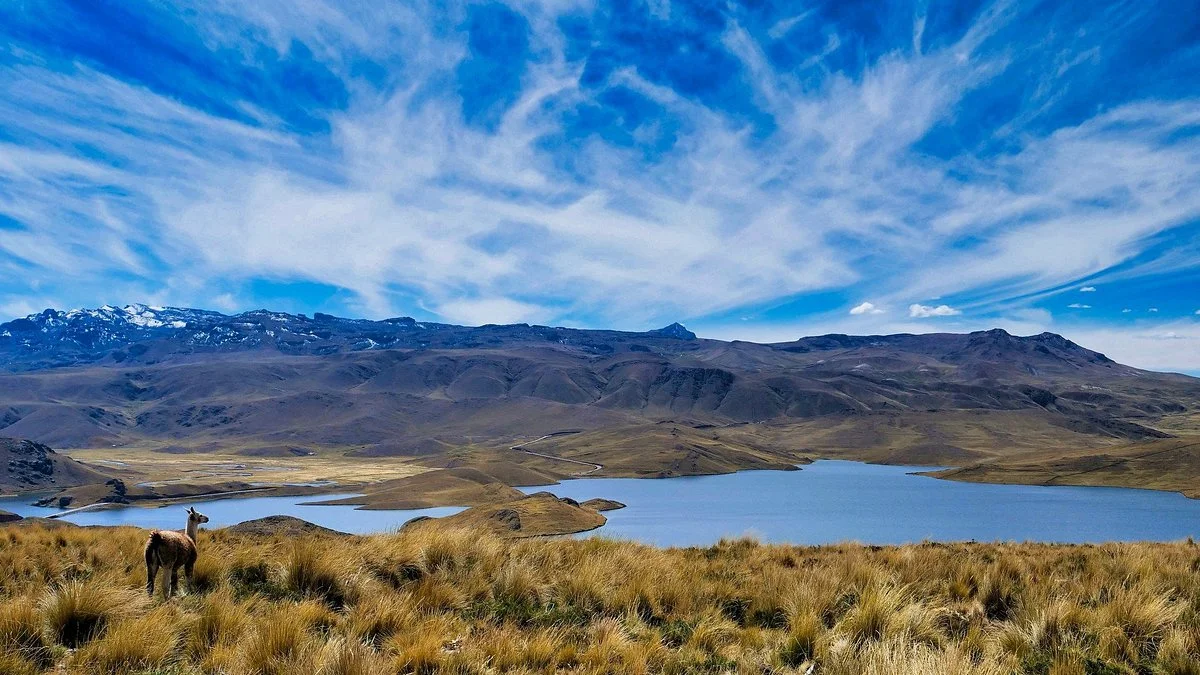 Laguna Lagunillas