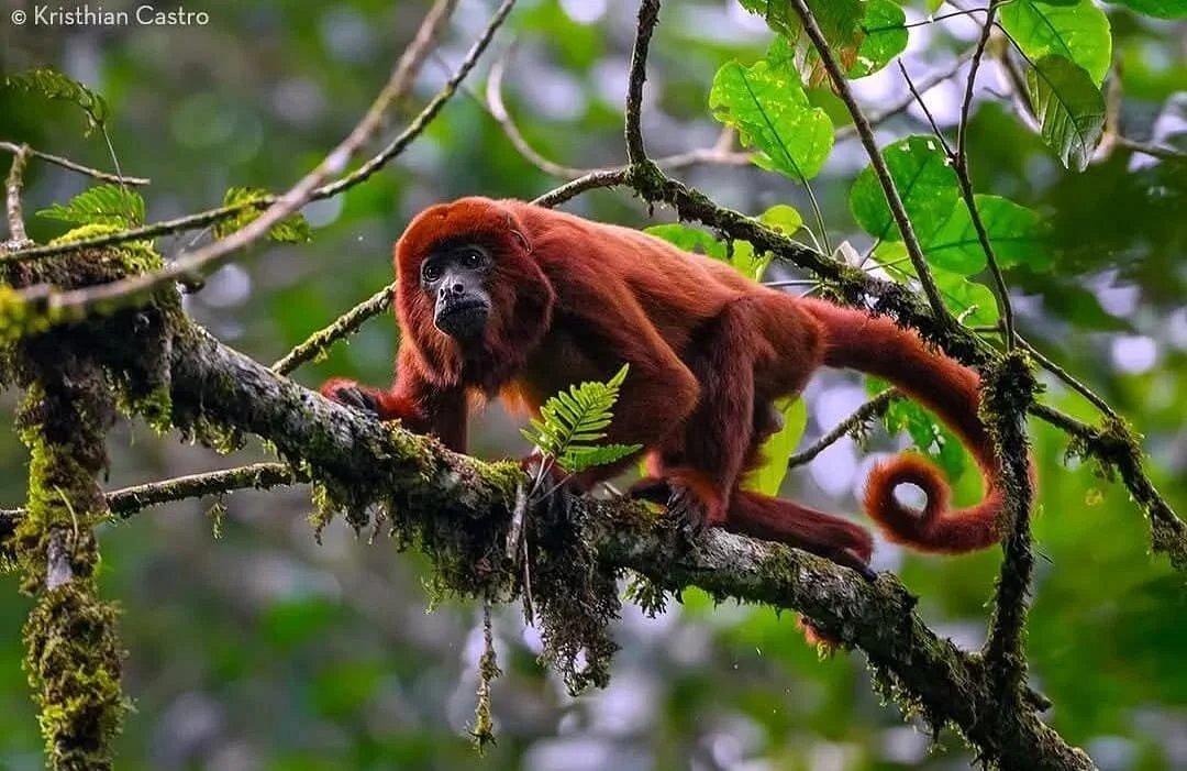 Reserva Natural Bonanza