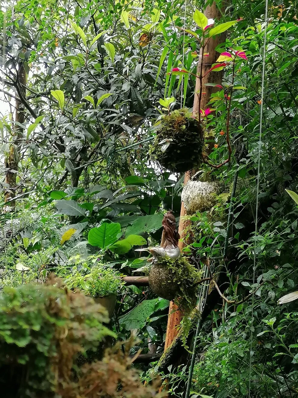 Bichacue Yath Arte & Naturaleza