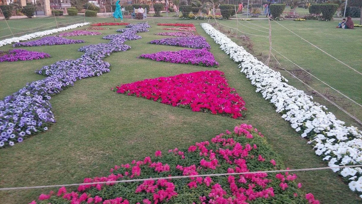 Bukhari Park