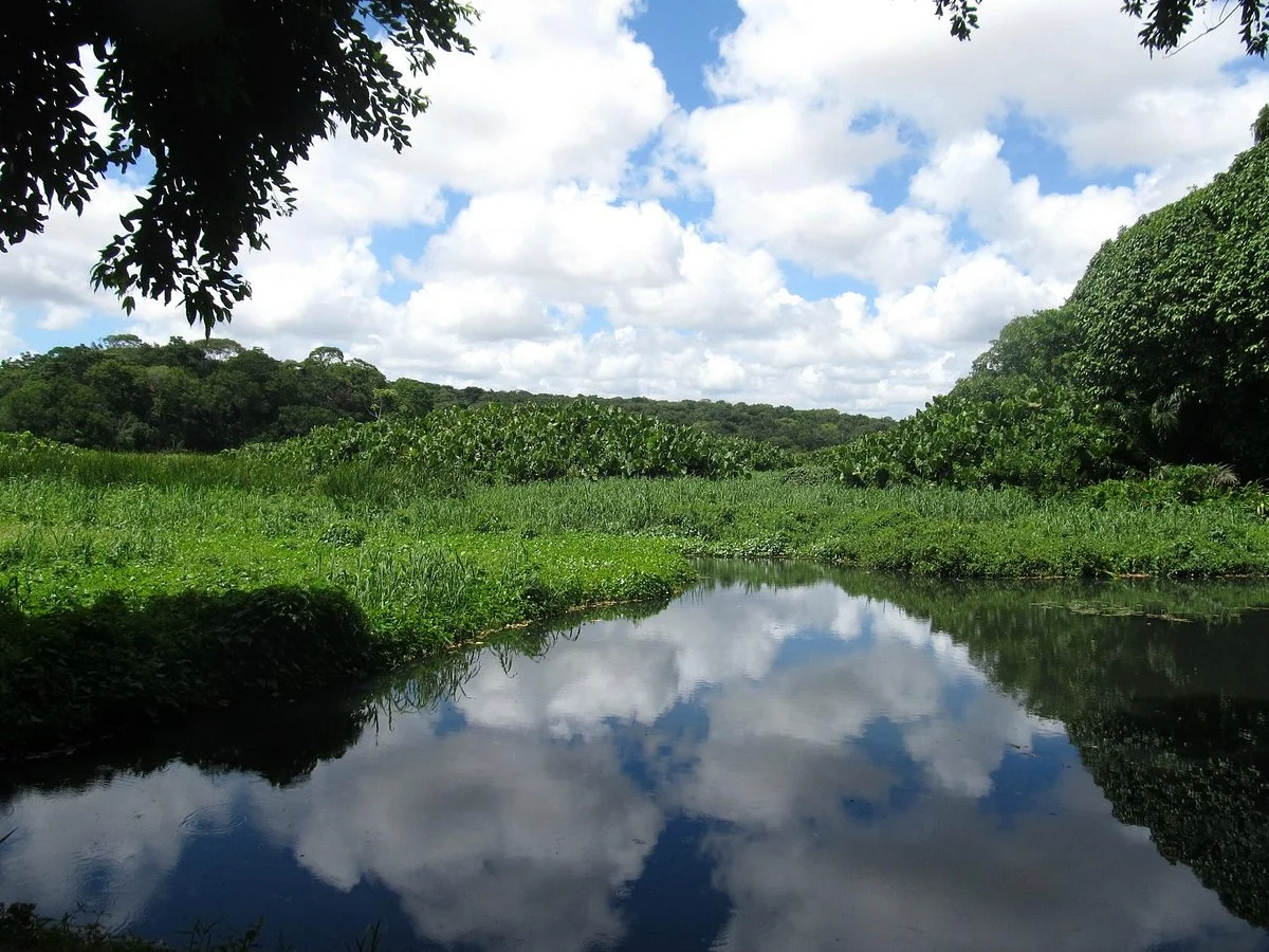 Manancial do Buraquinho