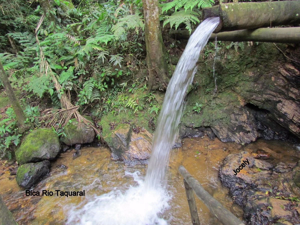 Trilha do Rio Taquaral