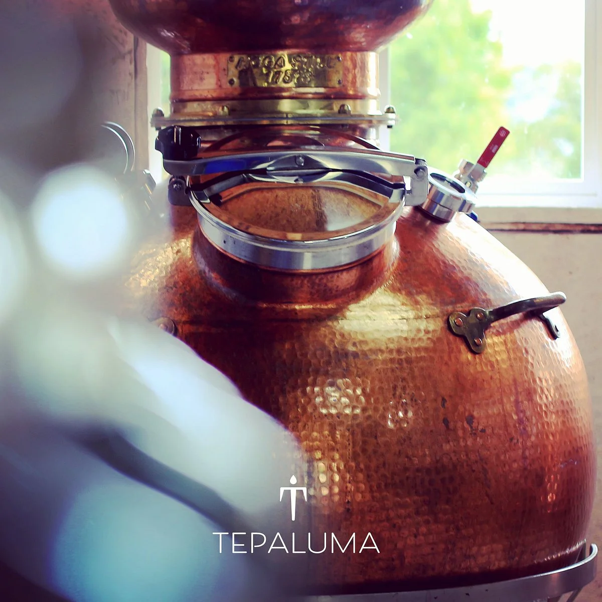 Tepaluma Distillery - Patagonia in a Bottle