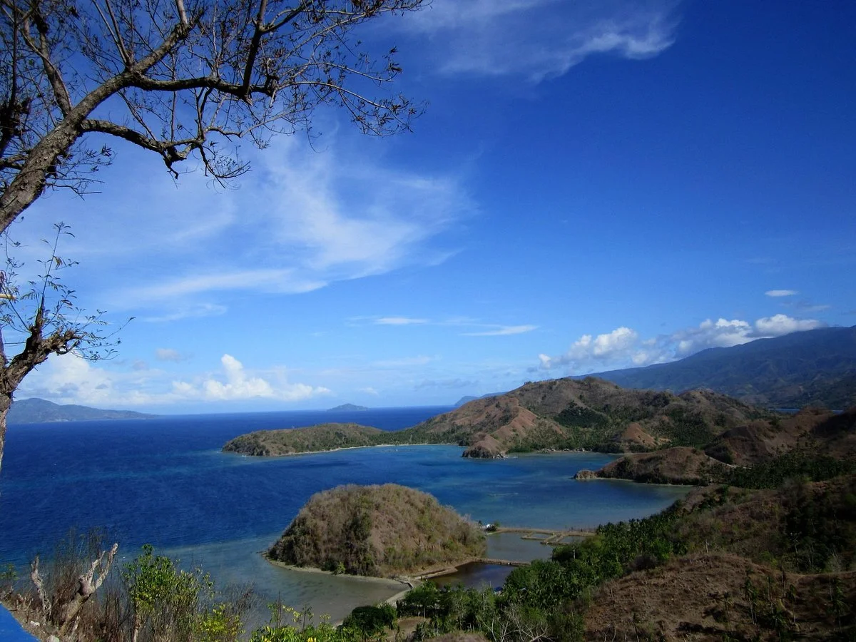 Sleeping Dinosaur Island