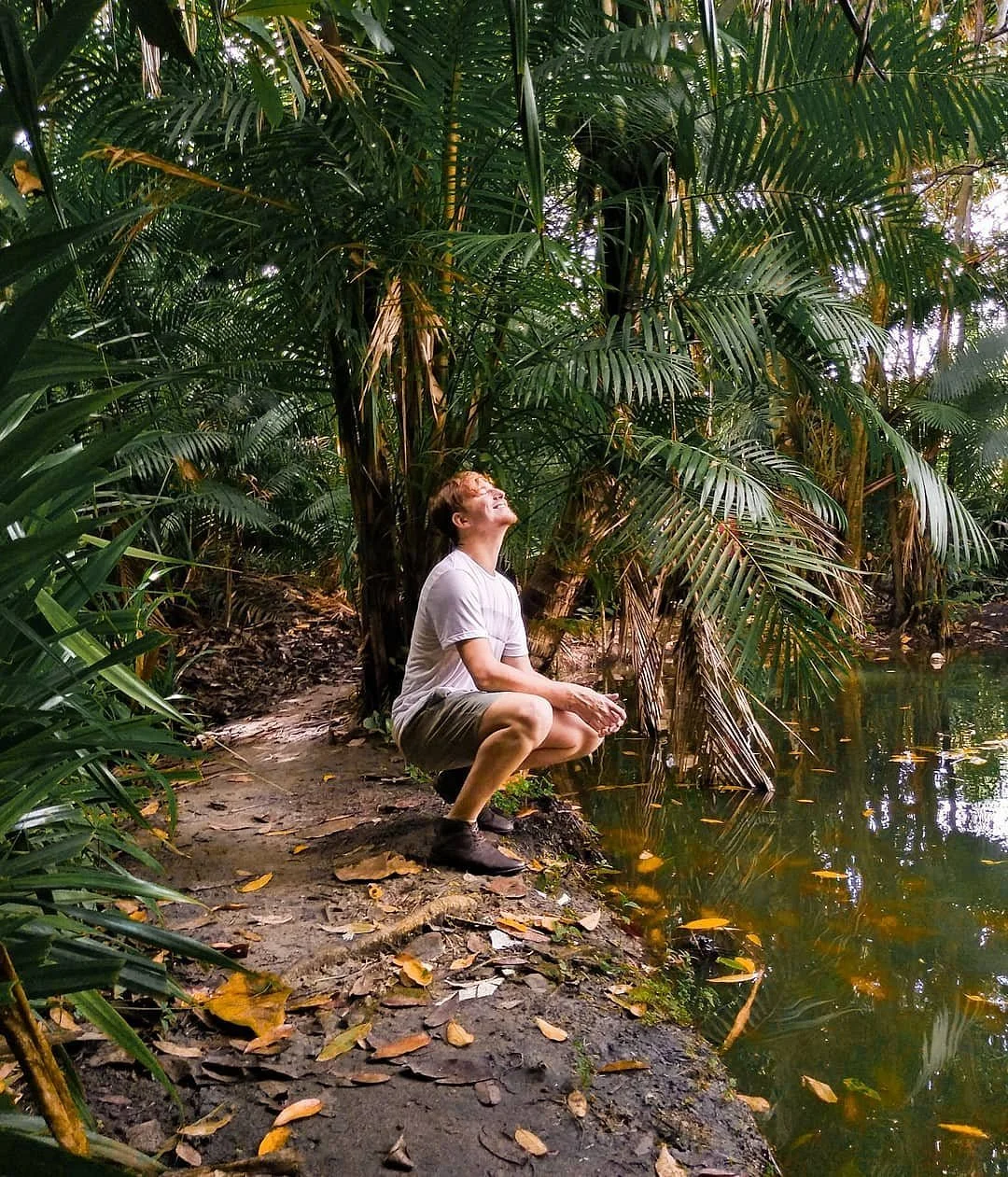 Refugio das Bromelias