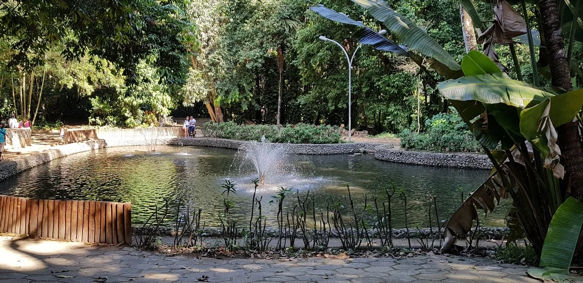 Niteroi Botanical Garden