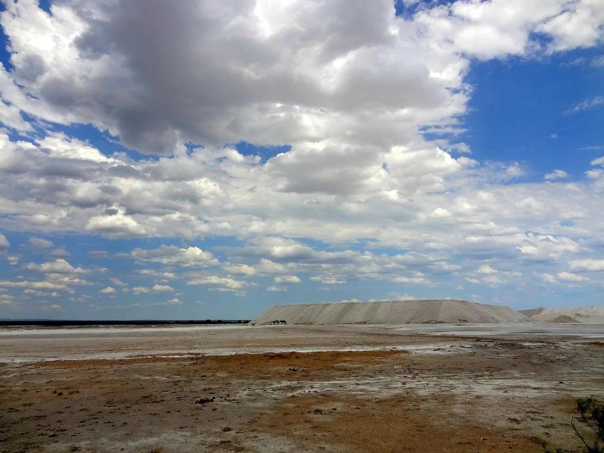 Salinas del Bebedero